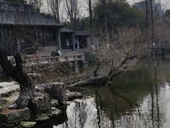 -水绘园