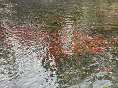 -水磨沟公园