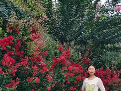 -杭州城北体育公园