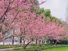 -长乐川式面馆·现炒浇头(石门二路店)