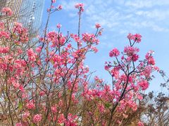 -文华公园(禅城区)