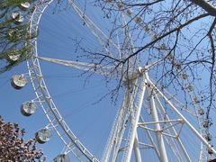 -石家庄市植物园