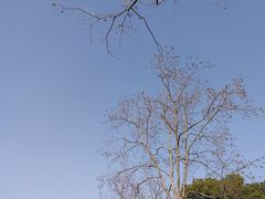 -石湖景区