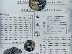 -青藏高原野生动物园