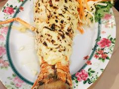 -Red Lobster