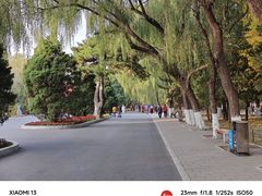 -北陵公园
