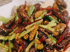 -中国吉菜名店广源宾馆餐厅