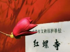 -红螺寺