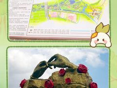 -亚龙湾国际玫瑰谷