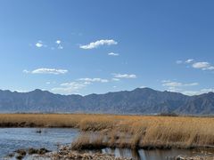 -野鸭湖国家湿地公园