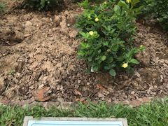 -人民公园(罗湖区)