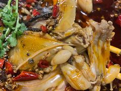 -味之绝热血美蛙鱼火锅(中坝店)