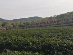 -南山风景名胜区