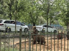 -秦皇岛野生动物园