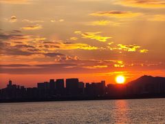 -深圳湾公园(南山区)
