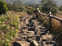 -梧桐山风景名胜区