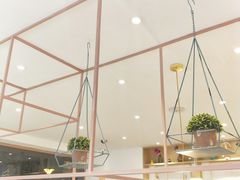 -鲜芋仙(中山路店)