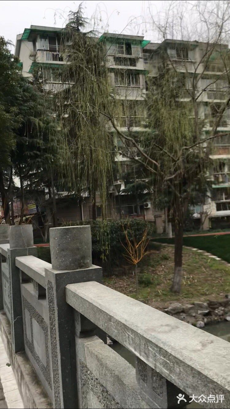 花也开了,虽然叫不出来名字