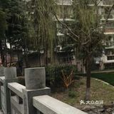 花也开了,虽然叫不出来名字