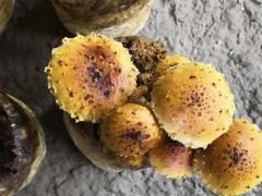 -仙蘑洞