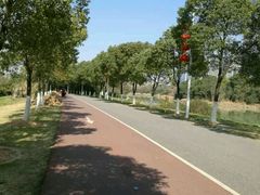 -艾溪湖湿地公园