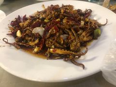 干煸八带-田记餐馆(富国街店)