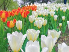 -长春公园(普阳街道)