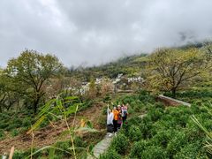 -塔川景区