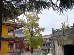 -上海青龙寺