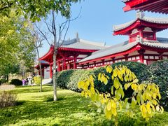 -大慈恩寺(大雁塔)