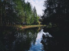 -上海滨江森林公园