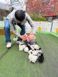 -萌宠亲子动物乐园(槐房万达店)