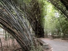 -西苑公园