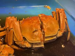 -长沙芙蓉国温德姆至尊豪廷大酒店-自助餐厅