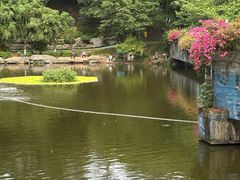 -重庆彩云湖湿地公园