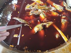 -谭记石锅鱼府(三道堰店)