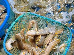 -巧克力渔家.小船海鲜胶东菜(万平口店)