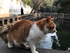 -西园戒幢律寺