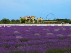 -渔岛海洋度假区