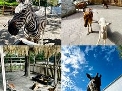 -水上乐园·欢乐世界