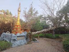 -瑞丽独树成林风景区