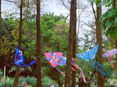 -人民公园(罗湖区)