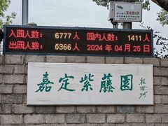 -嘉定紫藤园