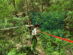 -衢州大荫山丛林飞越探险乐园