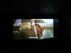 -大地影院(雅安灯塔魅力印象店)