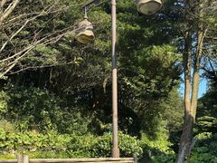 -普陀山慧济禅寺