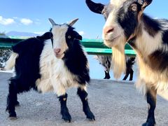 -丽江泸沽湖景区
