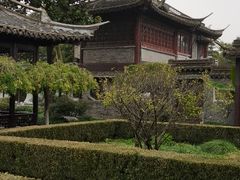 -梅园