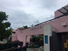 -南丫岛