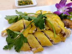 -墨脱石锅椰子鸡•香草鸭•东山羊(大东海店)